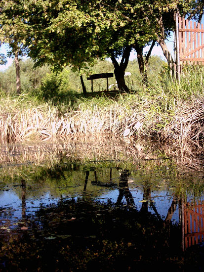 Reflejos 