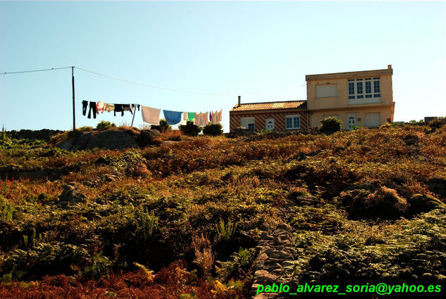 ROPA CON CASA Naturaleza Color (Digital)