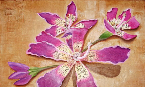 Flores