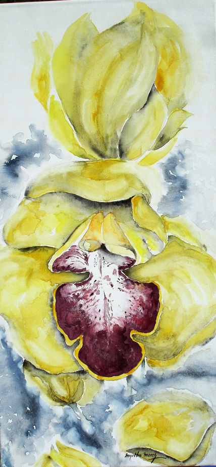 Orquidea