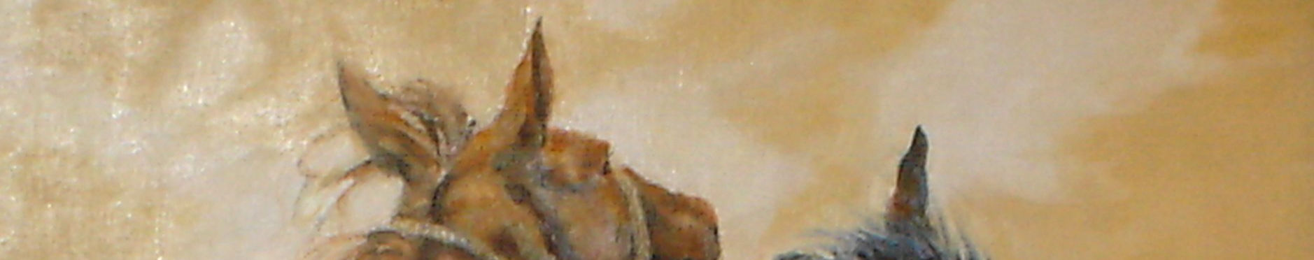 Imagen de portada