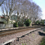 Trenes thumbnail 1