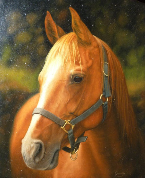 Berberisco