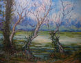 "Árboles en la ribera" - 36