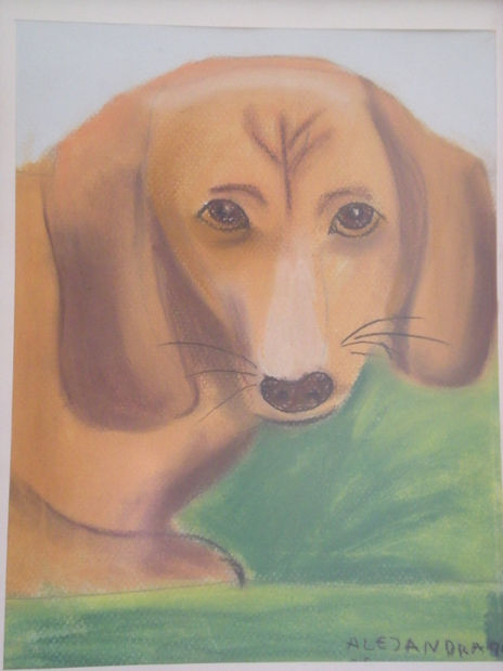 Perro