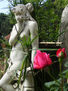 RosaS