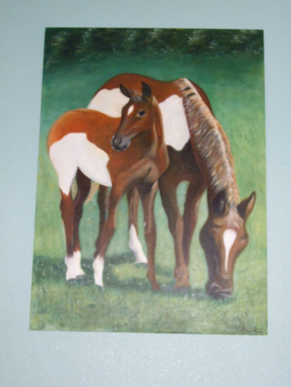 pastando Oil Canvas Animals