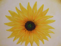 Girasol