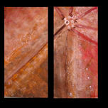 abstracción thumbnail 1