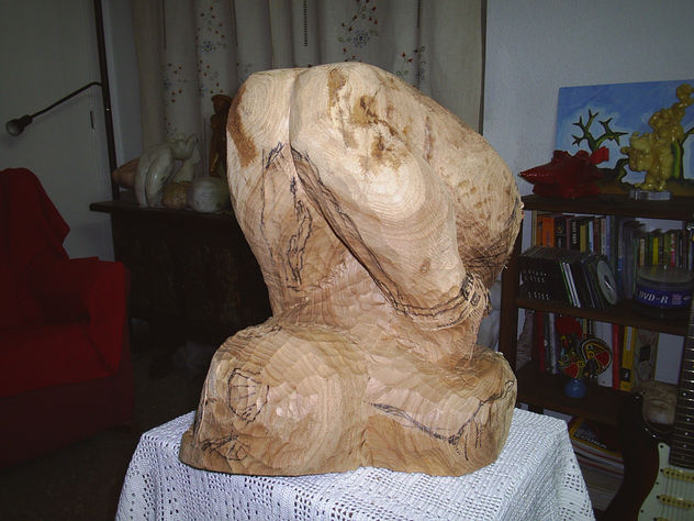 contorsionista