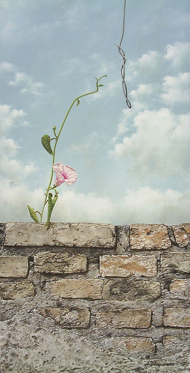 En la piedra florece un sueño