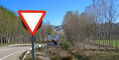 Yield