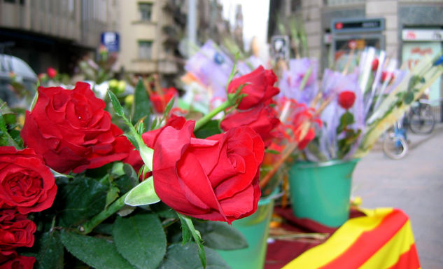 Sant Jordi 3 