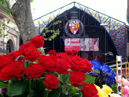 Sant Jordi 2