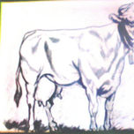 Carboncillo thumbnail 1