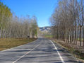 Open Road 1