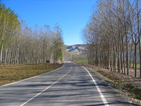 Open Road 1