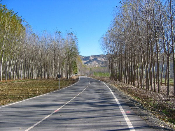 Open Road 1 