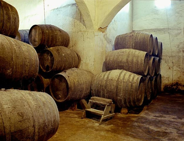 Ricón bodeguero del último tercio del siglo XIX 