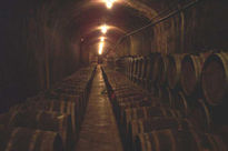 Cellar