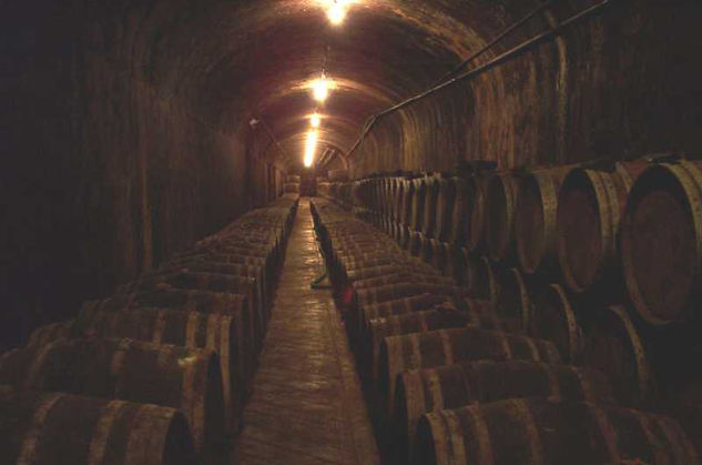 Cellar 