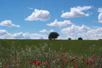 Castilla y La Mancha2