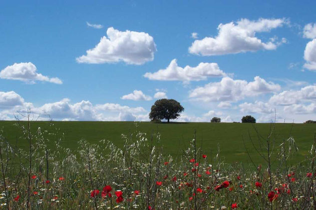 Castilla y La Mancha2 