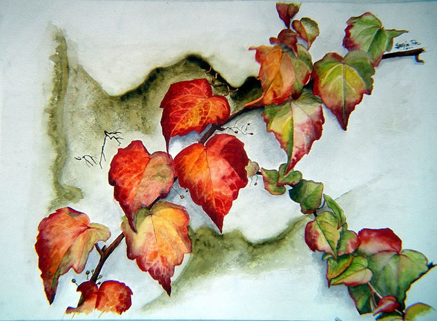 HIEDRA III Watercolour Paper Landscaping