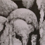 Grabados thumbnail 2