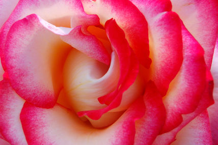 Pureza