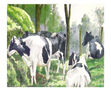 PAISAJE CON GANADO LECHERO
