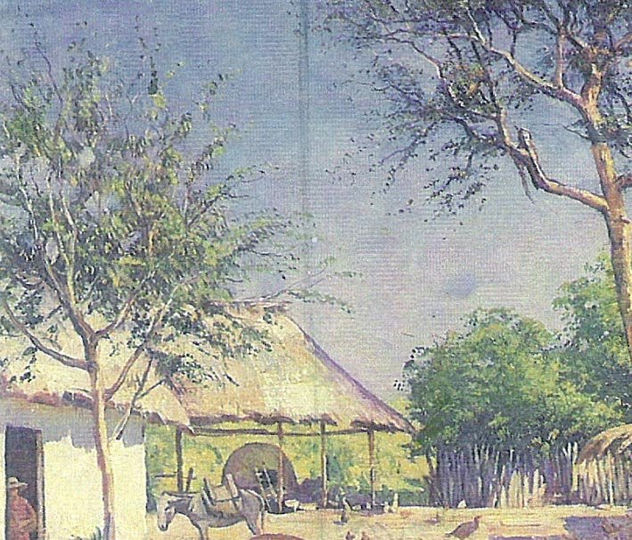 PATIO DE UNA FINCA COSTEÑA