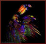 Parrots (loros)