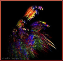 Parrots (loros)