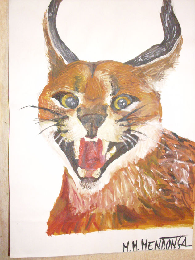 gato montés
