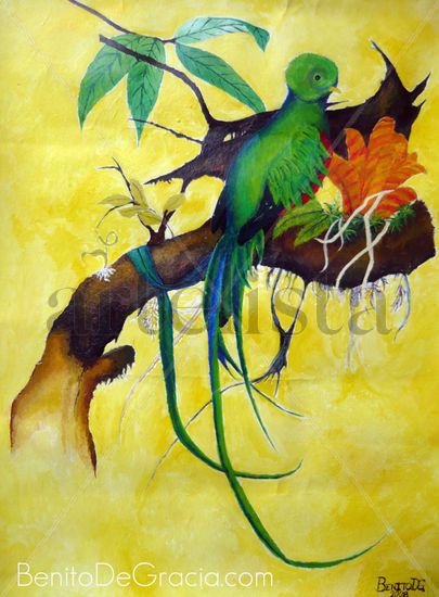 Quetzal en la Rama Acrylic Card Animals