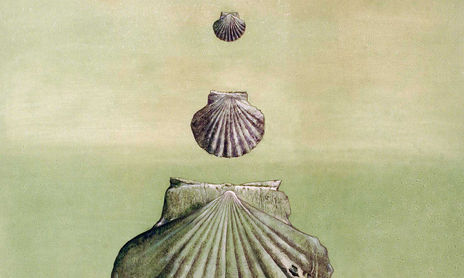 aquasfera