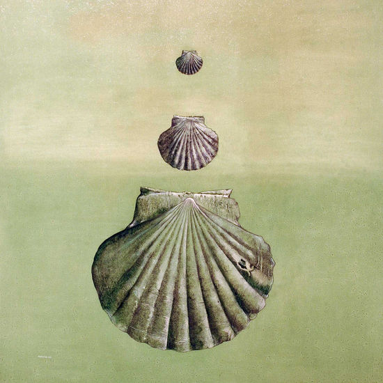 flabellipecten Mixed media Panel Others