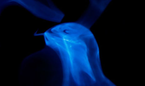 Humo Vivo