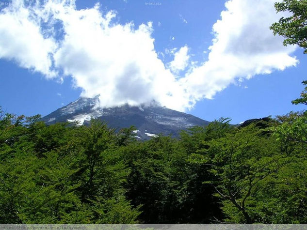 Volcan Lanin Naturaleza Color (Digital)