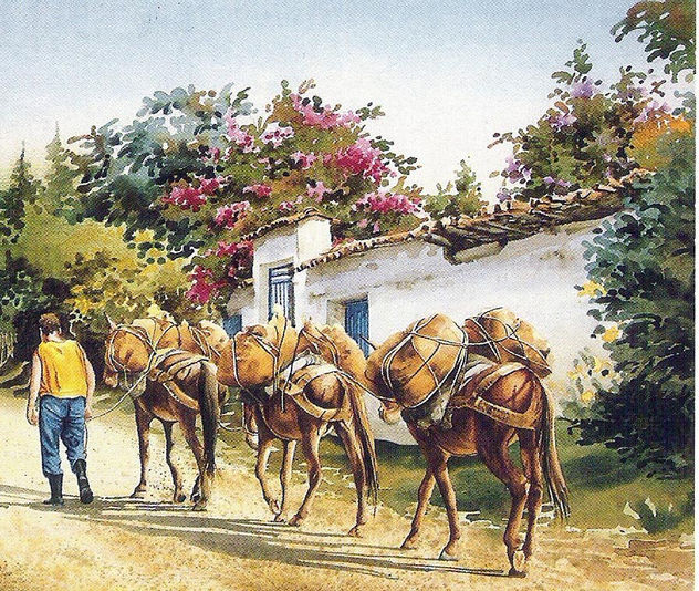 ARRIERO PAISA