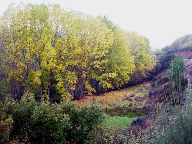 Ribera del río Ibor Naturaleza Color (Digital)
