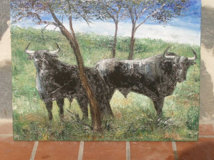 Toros paciendo...