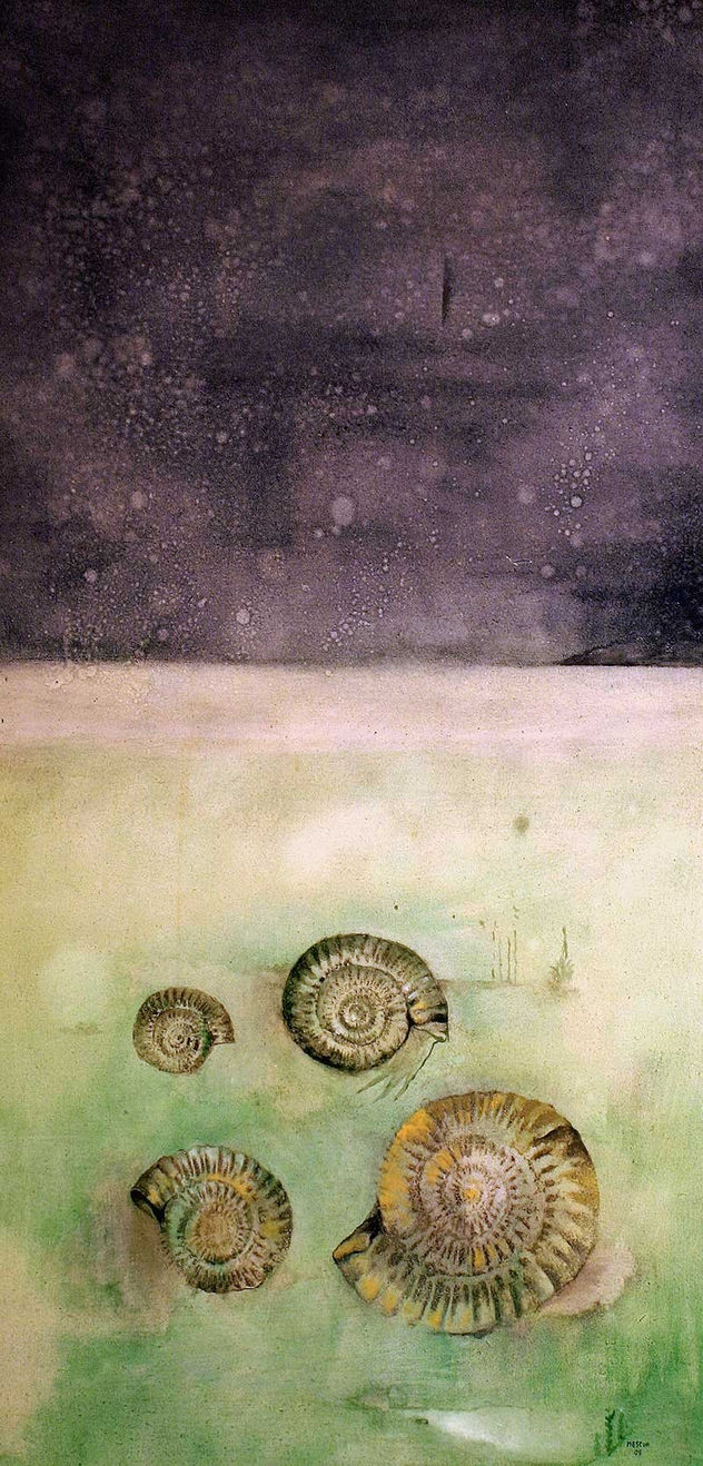 sedimento marino