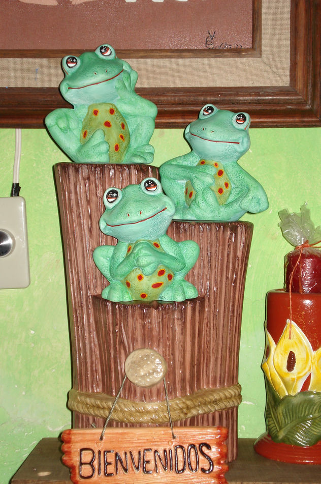 TRONCO CON RANAS