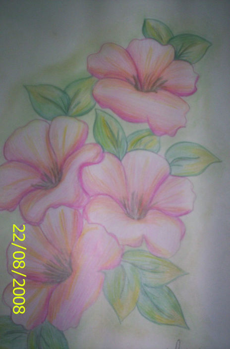 Flores