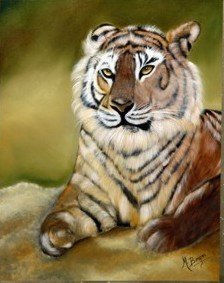 TIGRE MIMOSO Oil Canvas Animals