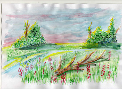 Paisaje