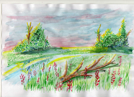 Paisaje