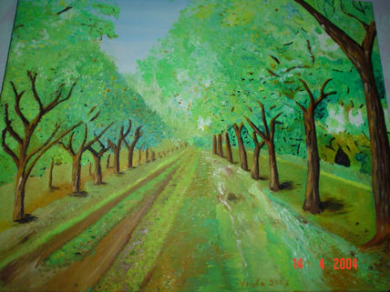 Camino rural